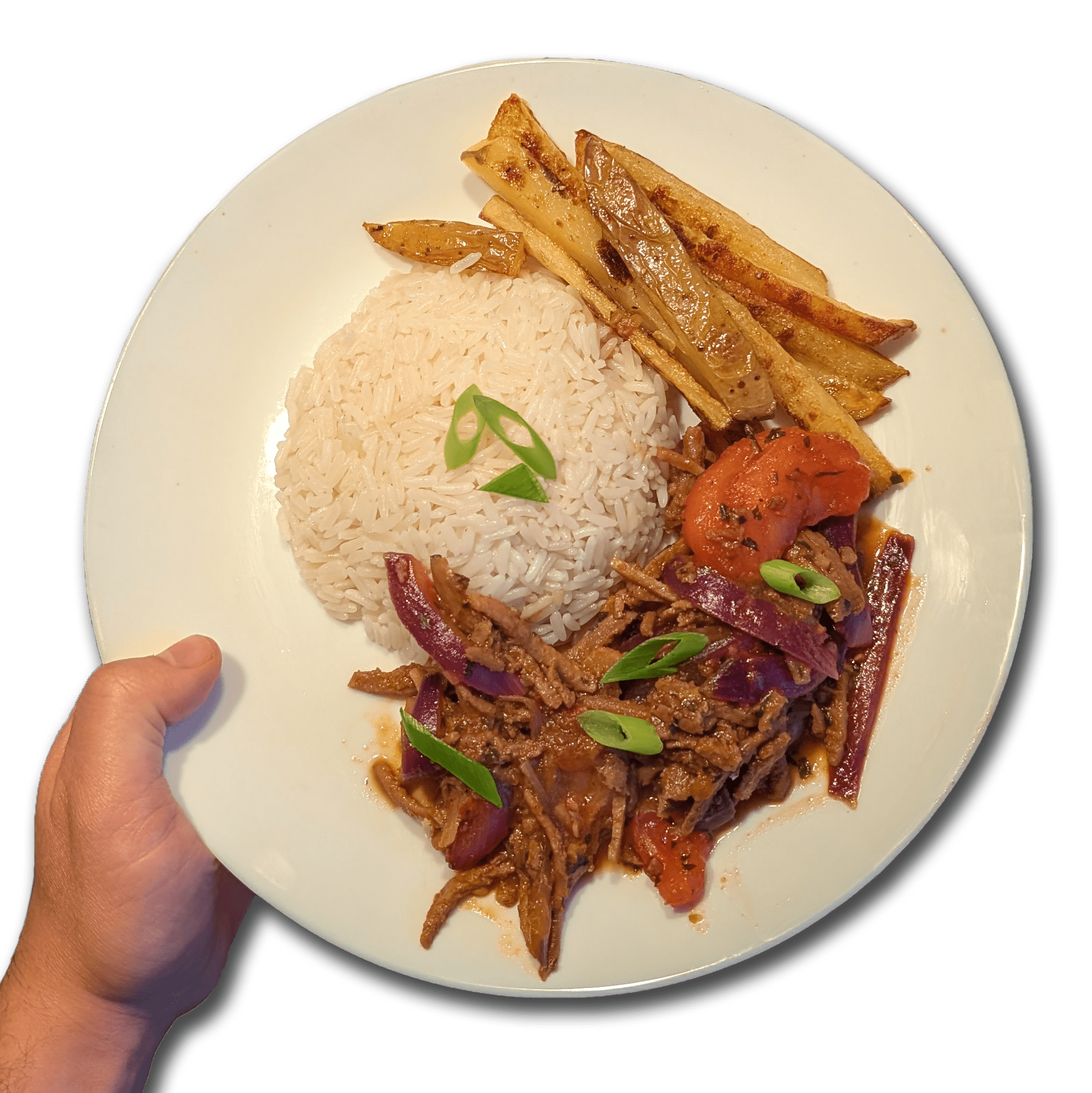 Lomo Saltado